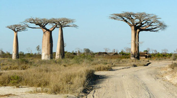 route bekopaka morondava lors du Circuit les Merveilles de la Grande-île