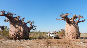 traversée en 4x4 Andavadoaka lors du Circuit les Merveilles de la Grande-île