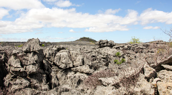 paysage Ankarana visible lors du Circuit Nord de Madagascar