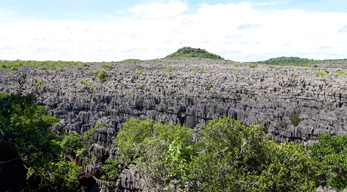 Tsingy de l'Ankarana dans le circuit Côte de la vanille