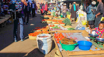 Les vendeuses de légumes dans le circuit les merveilles de la grande île