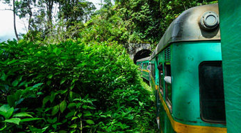 Ligne Fianarantsoa Côte - Est lors du Circuit les Merveilles de la Grande-île