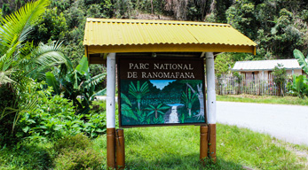 Parc National de Ranomafana