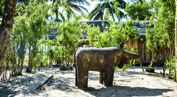 L'éléphant blanc d'Ambohitsara visible lors du circuit canal des pangalanes