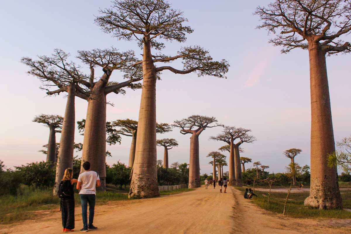 Circuit Côte des Baobabs en couple