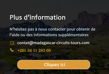 Contact et Information Madagascar Circuits Tours