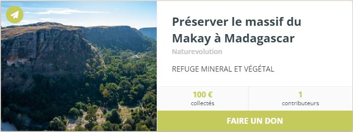 Faire un don pour soutenir la protection du massif du Makay