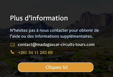 Information de contact Madagascar Circuits Tours