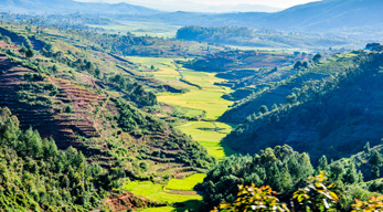 Magnifique paysage dans la région d’Amoron’i Mania