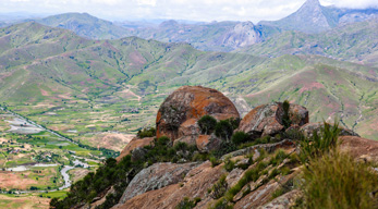 Pic caméléon dans le circuit les Massifs du Makay