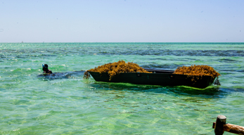 Plongée dans la mer bleue turquoise à Anakao