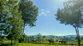 Rando à Cheval lors du circuit à la découverte des hautes terres Malgaches