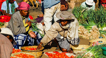 des légumes dans région Vakinankaratra dispo lors du circuit à la découverte des hautes terres Malgaches