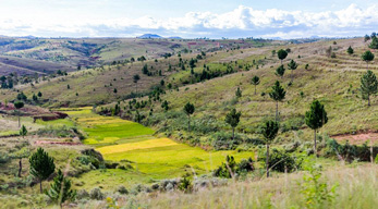 des paysages magnifiques dans le circuit à la découverte des hautes terres Malgaches