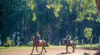 en promenant à cheval aux alentours d’Ampefy lors du circuit à la découverte des hautes terres Malgaches