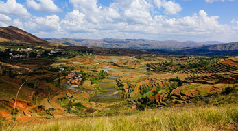 les hautes terres centrales disponible lors du circuit à la découverte des hautes terres Malgaches