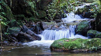 une petite cascade - Madagascar visible lors du circuit à la découverte des hautes terres Malgaches