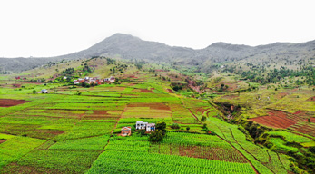 villages agricoles à travers des rizières