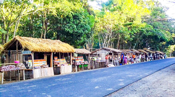 Ankarafantsika dans le circuit Nord Ouest de Madagascar