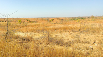 Le paysage de savane sur la Route Nationale 34