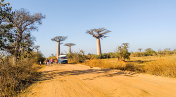 une piste sableuse de Bekopaka vers Morondava lors du Circuit Ouest de Madagascar