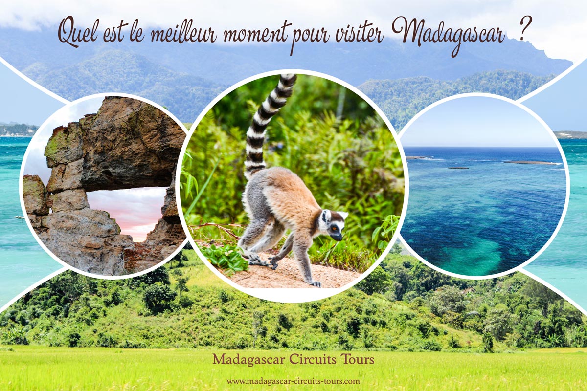 Le meilleur moment pour visiter Madagascar