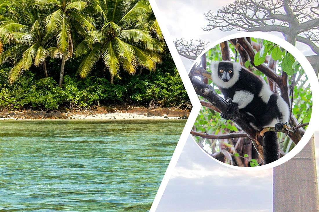 Quelles sont les attractions touristiques populaires à Madagascar