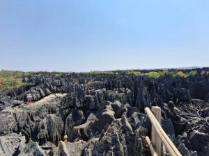 Tsingy de Bemaraha , un site géologique unique au monde