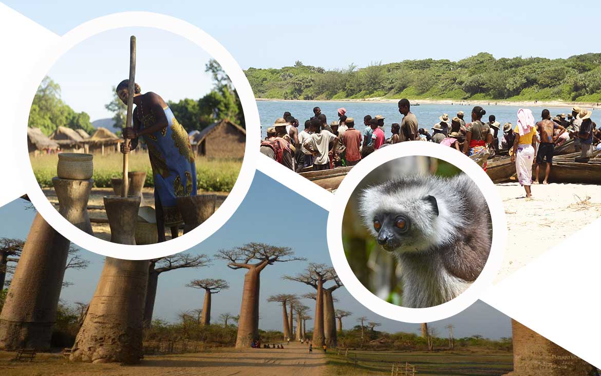 banniere Madagascar Circuits Tours