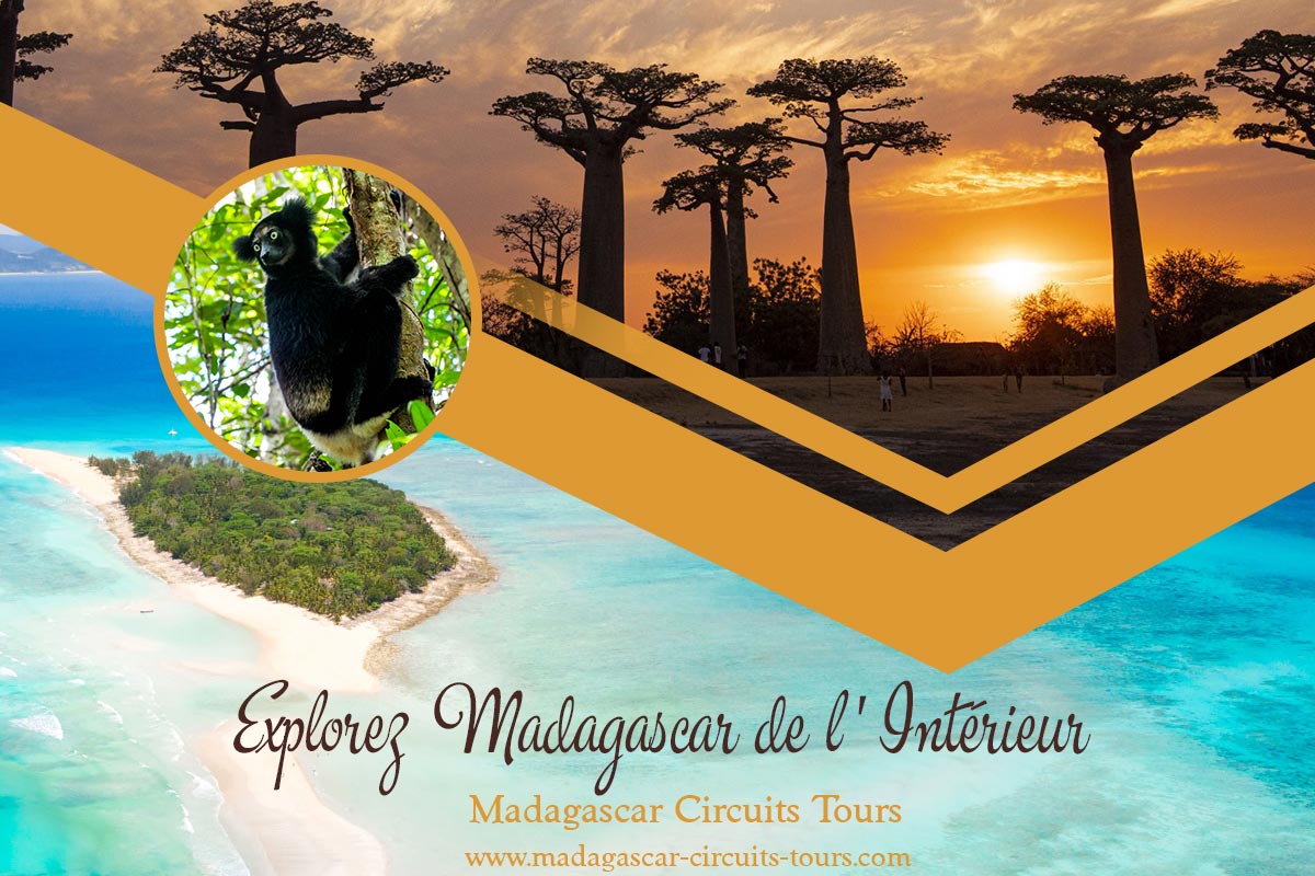 Explorez Madagascar de l'Intérieur