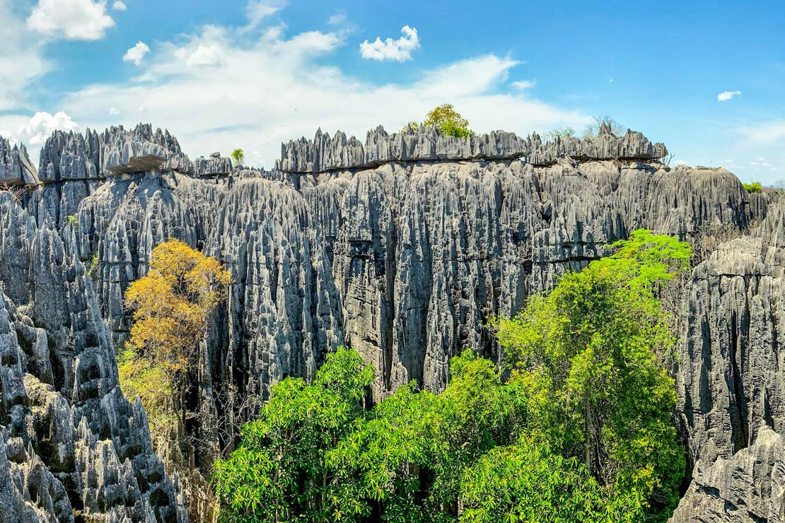 Trois jours au Tsingy de Bemaraha