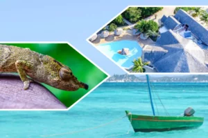 Voyage de luxe personnalisé