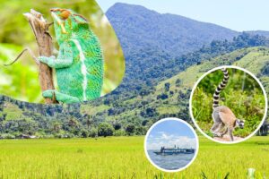 Voyager en harmonie avec la nature