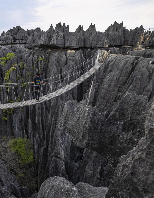 Les Tsingy de Bemaraha, cathédrales de calcaire sculptées par l’érosion