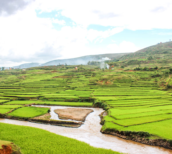 Les collines et rizières des Hautes Terres