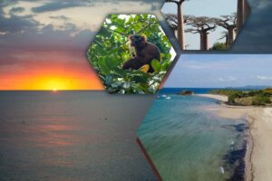 Circuit Madagascar une semaine