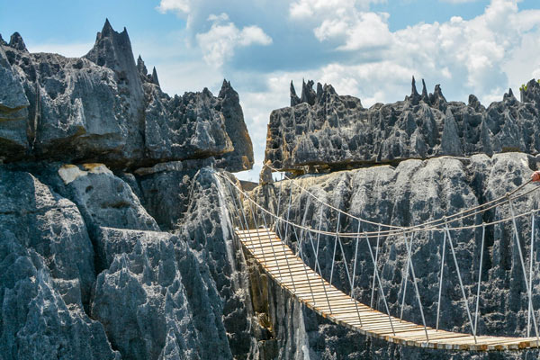 Admiration des Tsingy de Bemaraha