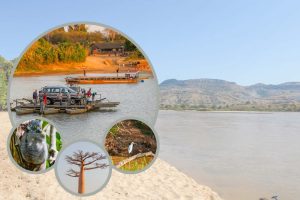 Excursion à Bekopaka