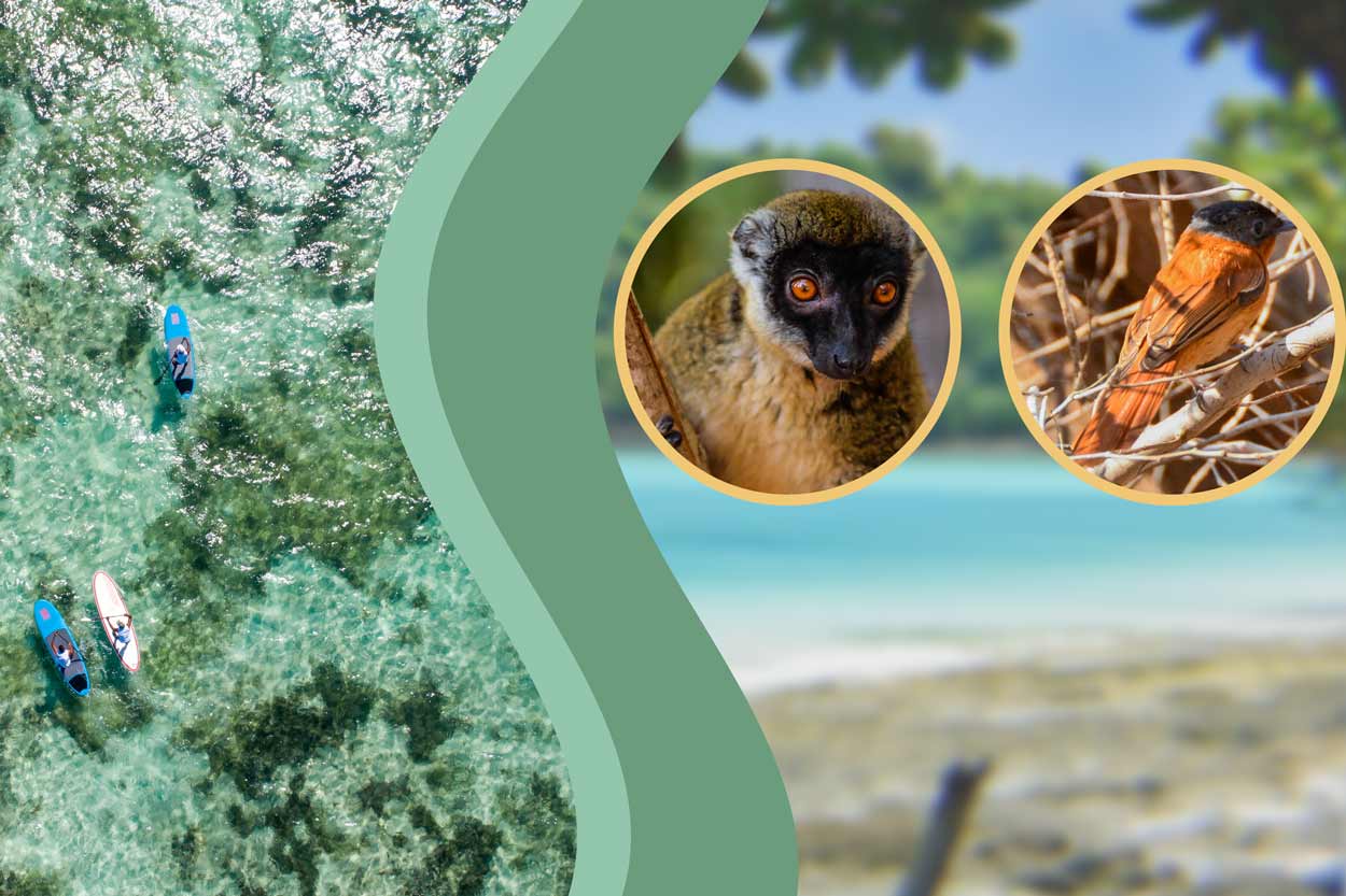 Excursion à Nosy Ankao