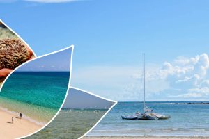 Excursion à Nosy Tsarabanjina