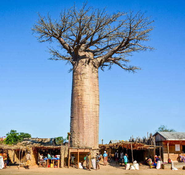 Expédition est l’arrivée au village d’Antsiraraka