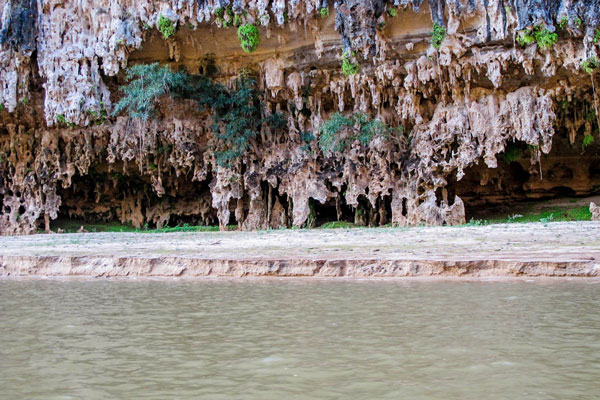 Une excursion entre nature sauvage et rives de la Manambolo