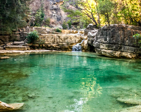 Découvrez les piscines naturelles