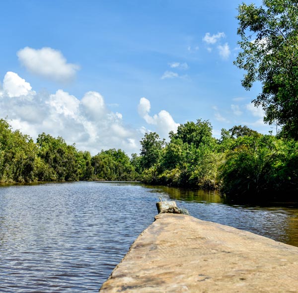 Embarquer en bateau sur les Pangalanes