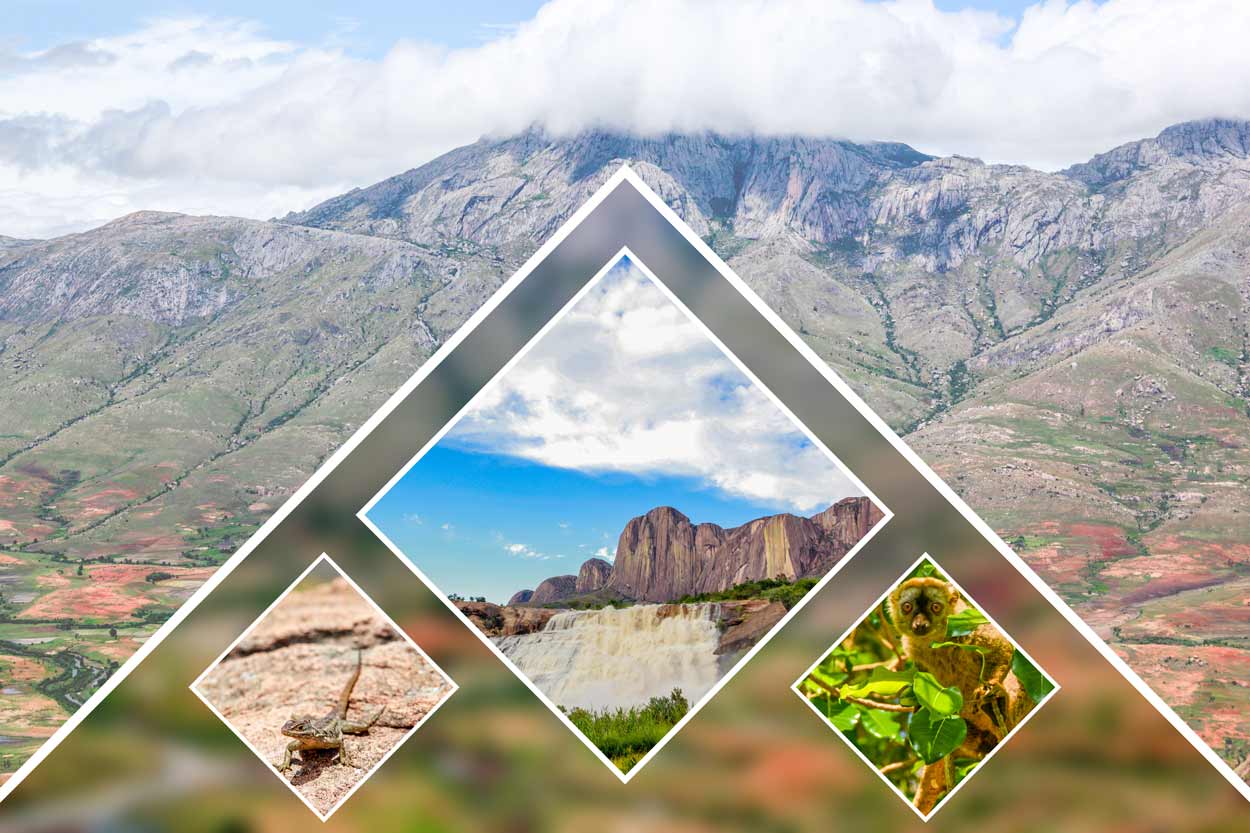 Excursion à Andringitra