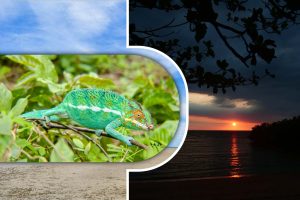 Excursion à Anjajavy