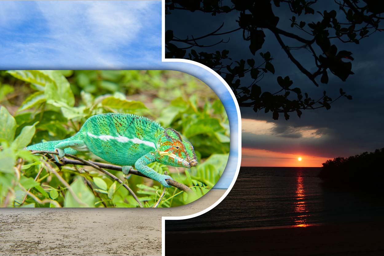 Excursion à Anjajavy