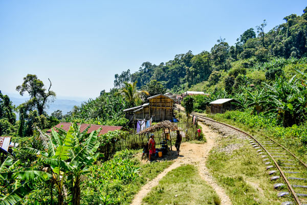 Excursion en FCE - Madagascar
