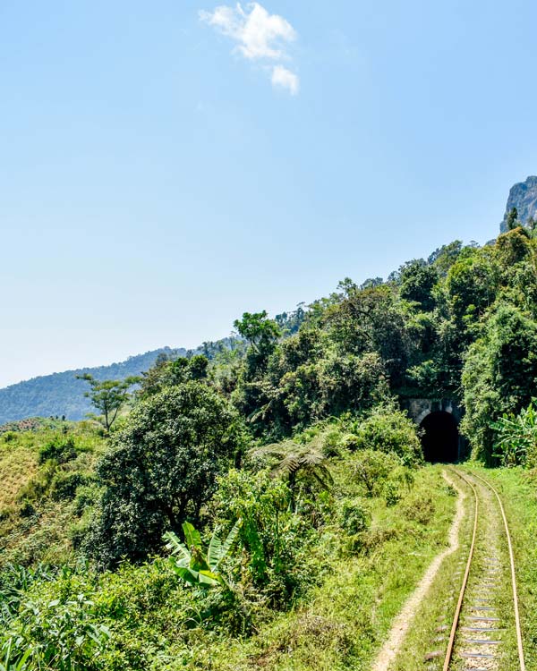 Excursion en train à Madagascar à travers paysages spectaculaires