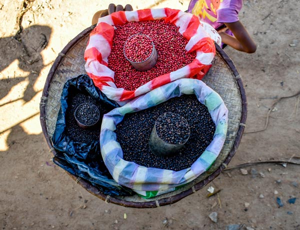 Excursion en train à Madagascar avec découverte de produits locaux